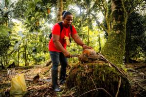 Posada Nativa sol y mar