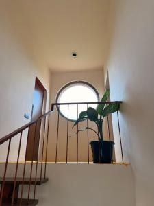 Bhoomi by Sanctity Ferme Stays, Near Bangalore