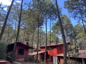 Cabañas Quinta de Cuevas