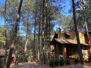 Cabañas Quinta de Cuevas