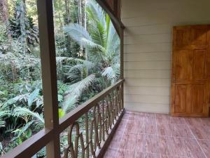 Apartamentos jungla y mar Manzanillo