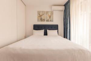ZEN Central Apartments