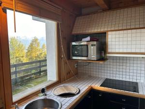 Pet-friendly chalet in Veysonnaz