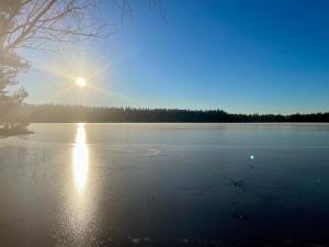 Lake cabin with rowing boat