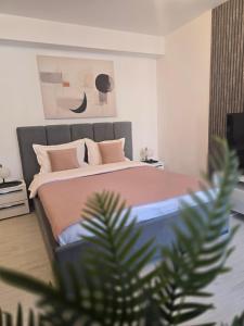 Sofia Residence-Otopeni Airport & Therme- Libertatii Gardens-Self Check-in