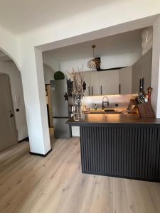 Luxury, newly renovated, 2-room apartment, Banana