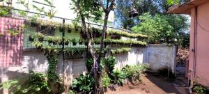 K Hostel