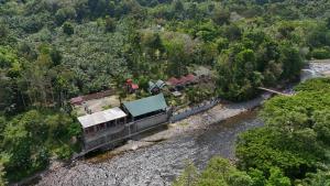 Asim Paris Guesthouse & jungle trekking