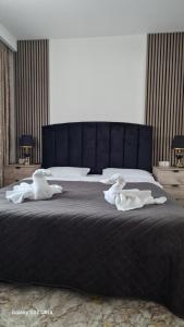 Apartament EVA