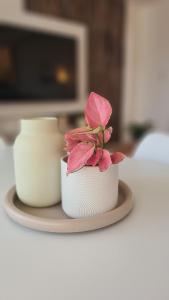 TARNO Lake Apartment