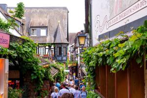 Zentral wohnen zwischen Rhein, Altstadt und Reben
