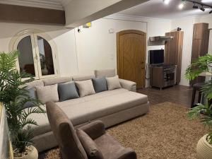 Cozy Ground Floor Apartment with Private Entrance