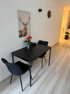 Moderne FeWo - Studio16 mit Bergblick