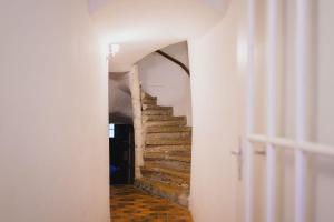 Appartement de vacances - Papillon