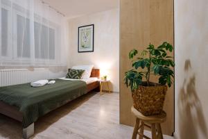 Villa KESTA, centrum, free parking