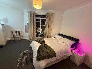 Hyde Park and Central London Spacious Flat