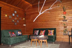 Homly Stays Treehouse near Jafreys Khajrana