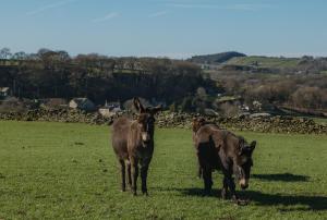 Cosy Farm Cottage with Hot Tub & Countryside Views
