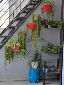 Swastik Inn The Homely Homestay