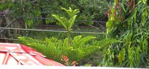 Aashiyana Residency Home Stay