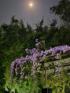 Aashiyana Residency Home Stay