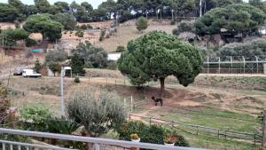 Terrazas del Mar, Levante