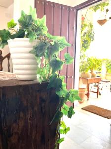 Villa Ferrer Sevilla