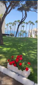 Algaida Beach Send Litoral