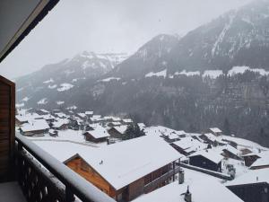 Studio Le Cocon