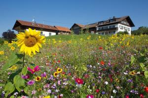 Ferienwohnung Seeblick mit zusätzl Doppelzimmer, Hof Alpenseeblick, NesselwangAttleseeAllgäu