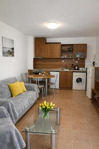 Amadeus1 - 37B Large Apartment