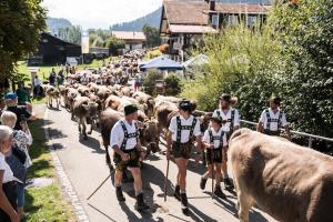 Ferienwohnung Socher "Am Wold"