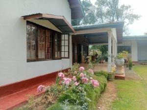 Biuline villa and holly day Bangalow
