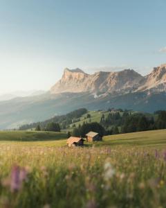 Apartment Ciasa Laoi