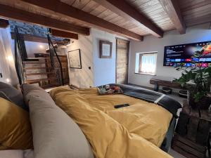 Little Wild House