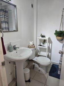 Departamento acogedor y familiar