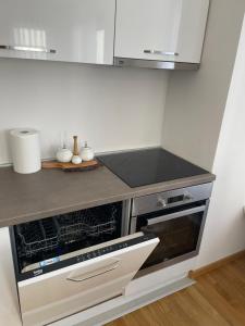 Comfy apartment