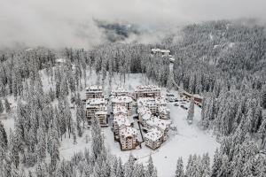Castle Romance - Pamporovo
