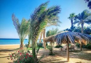 2 bedroom in turtels beach