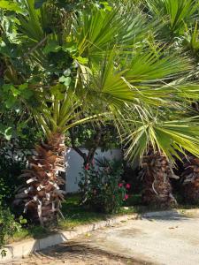 Two-bedroom sea view apartment Romantika