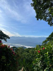 Hostal Mirador Mar Nevado