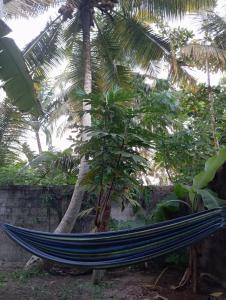Cozy homestay