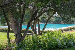 Appartamento Fissurelle img3