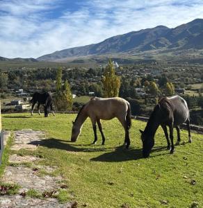 Casa Boutique en Tafí del Valle Tucumán