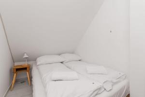 Studio Monte Cassino