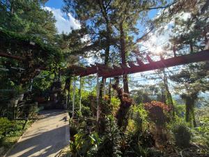 Odara Pines Garden- Balay Room 2 Queen Size Bed