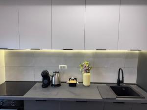 NES Residence Apartment 2 bathroom FREE Parking Sleeps 6