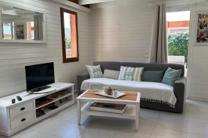 chalet with swimming pool in leisure park