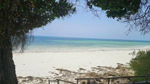 Florentinas Beachfront Villa in Diani Beach- Air Conditioning, Swimming Pool