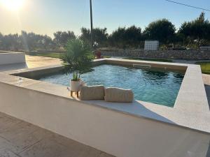 Elaionas Luxe Apartments with Private Pool